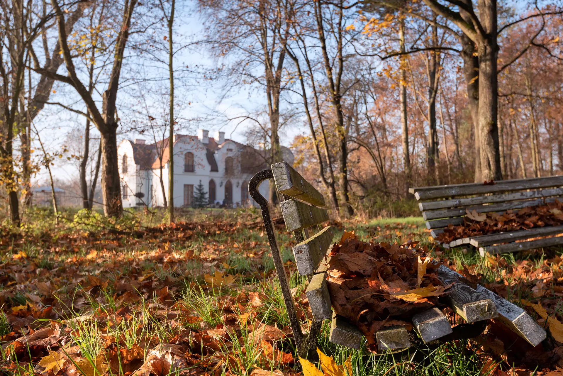 “Kuracja Naturalna w Prastarej z wyjątkowym wykładem” 8-10 listopada 2024